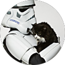 Profile photo of T Campbell