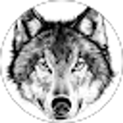 Profile photo of TJ
