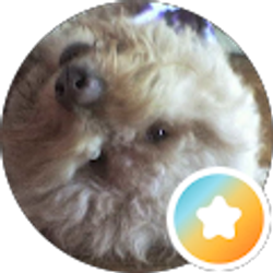 Profile photo of Karen Stoli