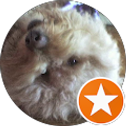 Profile photo of Karen Stoli