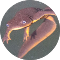 Profile photo of Benjamin Vogel