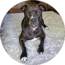 Profile photo of Kendra Martin