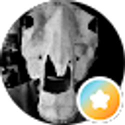 Profile photo of Jackie