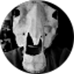 Profile photo of Jackie
