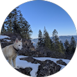 Profile photo of ladyfangg