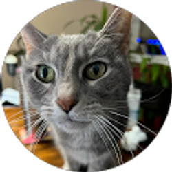 Profile photo of Cameron Shafer