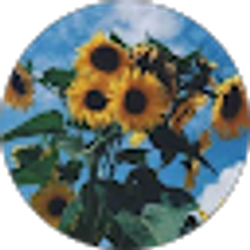 Profile photo of blink blank