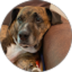 Profile photo of Laura Brock