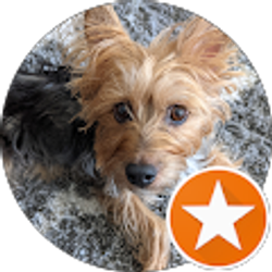 Profile photo of Jan Byrer