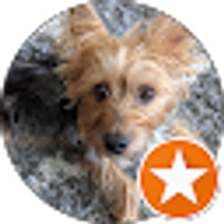 Profile photo of Jan Byrer