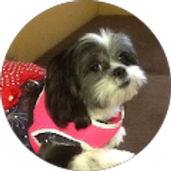 Profile photo of Sylvia Metz