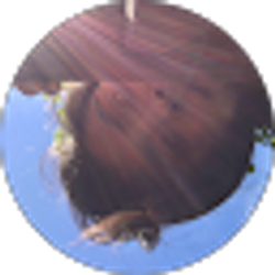 Profile photo of Honoria Alvarez