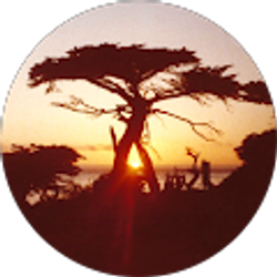 Profile photo of Michael Sneeringer, Jr.