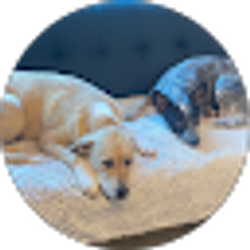 Profile photo of Becka