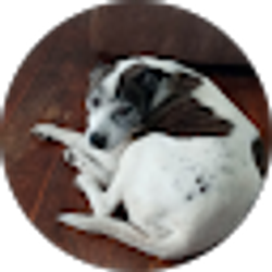 Profile photo of Brandie Tabor
