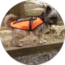 Profile photo of James Debaise