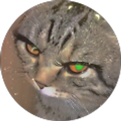 Profile photo of -Skie-