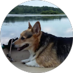 Profile photo of JoAnne Moore