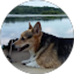 Profile photo of JoAnne Moore