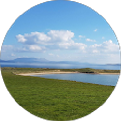 Profile photo of Treasa Walsh