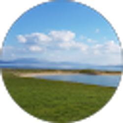 Profile photo of Treasa Walsh