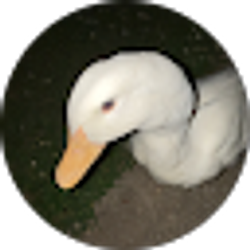 Profile photo of Eliza Hurn