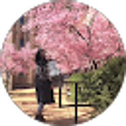 Profile photo of Fan Yang