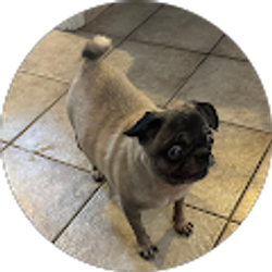 Profile photo of Roger Rodriguez