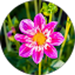 Profile photo of Jacalyn Walker