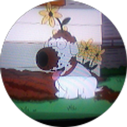 Profile photo of john no