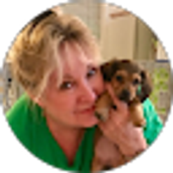 Profile photo of Karyn Rife