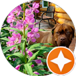 Profile photo of Melanie Olson