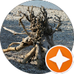 Profile photo of Mindaugas Mincevicius