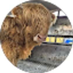 Profile photo of Kirsty Cassidy