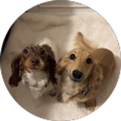 Profile photo of Andrea Blatt