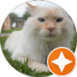 Profile photo of Kari I.