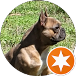 Profile photo of Antonio H Perez Jr