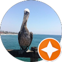 Profile photo of Julie Lay