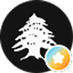 Profile photo of Adonis El-Mohtar, MFA
