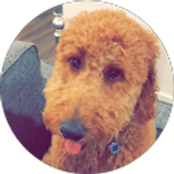 Profile photo of Haley Hogan