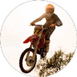 Profile photo of Arin Hayes