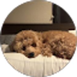 Profile photo of Jonathan Le