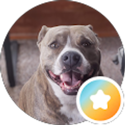 Profile photo of Amanda frantz