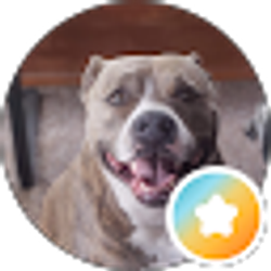 Profile photo of Amanda frantz