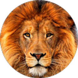 Profile photo of Joe G