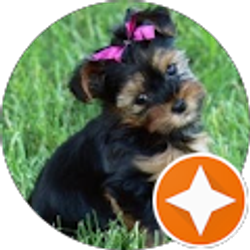 Profile photo of Shelly Springer Watson