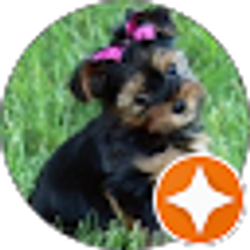 Profile photo of Shelly Springer Watson