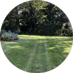 Profile photo of Ludin Posadas