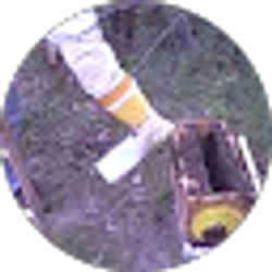 Profile photo of Jim K