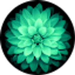 Profile photo of Alyssa Jones
